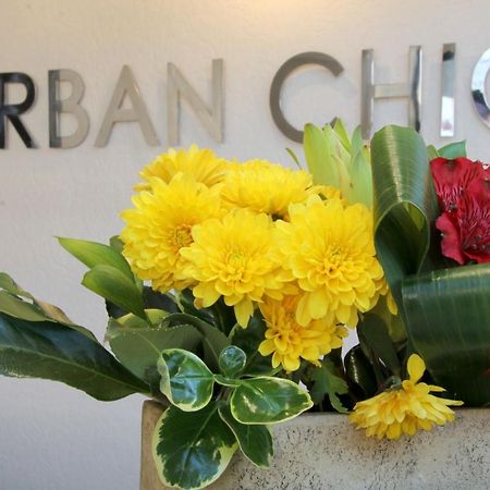 Urban Chic Boutique Hotel & Cafe เคปทาวน์ ภายนอก รูปภาพ